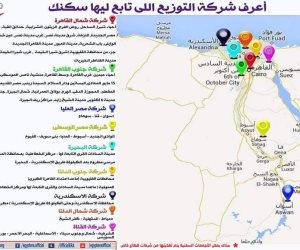 لراغبي طلب الخدمات.. النطاق الجغرافي لشركات توزيع الكهرباء بالجمهورية