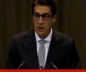 ممثل مصر بالعدل الدولية: قطر توفر ملاذا للإخوان وتدعم الإرهابيين فى سيناء