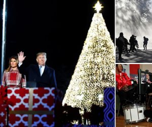 جولة في صحف العالم.. إضاءة شجرة الكريسماس الرئيسية احتفالا بأعياد الميلاد بواشنطن 