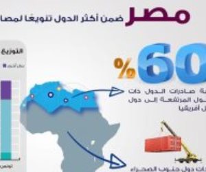 إنفوجراف.. مصر إحدى أكثر الدول تنويعا لمصادر وارداتها الخارجية