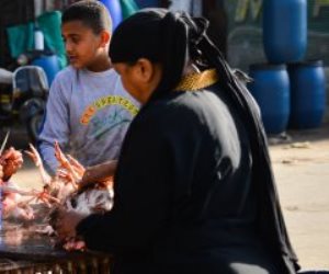 كارثة في شوارع مصر.. شاهد ذبح الفراخ في الأسواق مصدر رئيسى لأنفلونزا الطيور