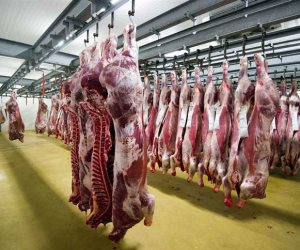 لجان بيطرية للتفتيش.. حملات مكثفة على الأسواق لضبط اللحوم غير صالحة للاستهلاك