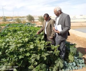 تفاصيل إنشاء 13 تجمع زراعي لزيادة معدلات التنمية بوسط سيناء (صور)