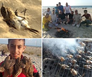 رحلات صيد الأسماك والطيور البرية.. «صوت الأمة» تنقل الأجواء في ربوع شمال سيناء (صور)