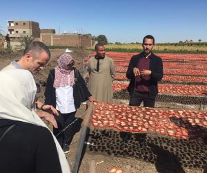 إنتاجها حوالى 8 ملايين طن سنوياً.. تجفيف الطماطم والصناعات الزراعية هو الحلّ