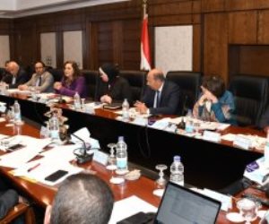 5 ملايين مستفيد.. «التخطيط» والتنمية المحلية والصناعة يتابعون برنامج تنمية الصعيد