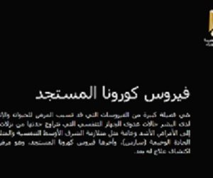 الحكومة تدشن موقعا خاصا بفيروس كورونا بتكليف من رئاسة الجمهورية