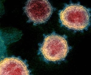 هل يصبح فيروس كورونا مجرد دور أنفلونزا ستتعلم أجسامنا محاربته؟