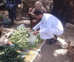 فيها حاجة حلوة.. مبادرة مجتمعية لبيع الخضروات بسعر التكلفة في بئر العبد بسيناء (صور)  