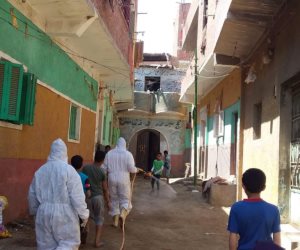 محافظة الجيزة تطهير وتعقيم 710 منشأة وشارع ومحل ومنزل بكرداسة وابو النمرس وأطفيح