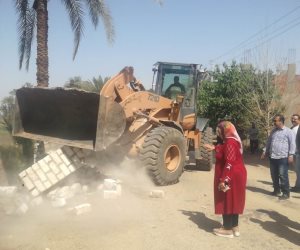 (صور).. محافظة الشرقية تشن حملات لإزالة التعديات على الأراضي الزراعية 