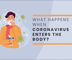 ماذا يحدث بعد دخول الفيروس التاجي "كورونا" الجسم؟
