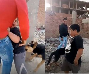 النائب العام يأمر بحبس المتهمين بالاعتداء على طفل من ذوي الاحتياجات بكلب
