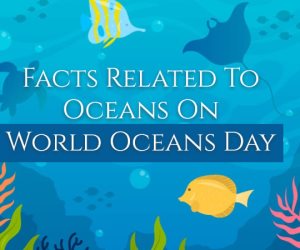 اليوم العالمي للمحيطات 2020.. أهم 10 حقائق علمية مثيرة تعرف عليها