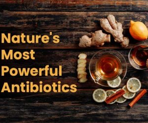الريحان والعسل والقرنقل.. أقوى 25 نوع من المضادات الحيوية في الطبيعة