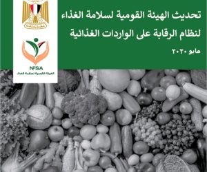11 مسارا للحجر والتفتيش حددتها الهيئة القومة لسلامة الغذاء لنظام الرقابة على الواردات الغذائية