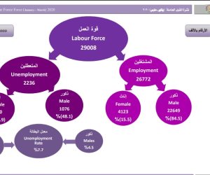 أبرز 8 مؤشرات لقوة العمل خلال الربع الأول من 2020 (إنفو جراف)