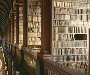 أغرب 8 أماكن مكتبات فى العالم.. من مخزن قنابل صينى إلى أحواض مطر بإيطاليا