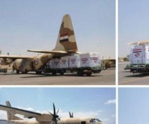 الرحلة السابعة من المساعدات المصرية تصل لبنان