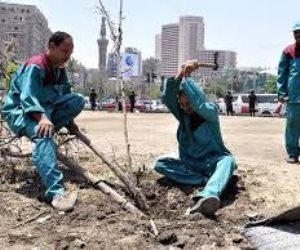 الحكومة تفتح "الملف الملغوم".. 34 ألف عامل بالتشجير ينتظرون حل أزمة مرتب الـ40 جنيها