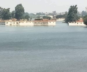 ارتفاع منسوب النيل يتسبب في غرق أراضي بطرح النهر في قرية دلهمو بالمنوفية (صور)