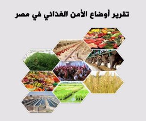 تقرير «أوضاع الأمن الغذائي»: التوسع العمراني على الرقعة الزراعية أدى لتصحر الأراضي