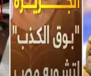 الجزيرة وقطر والإخوان.. "قولهم صندوق مصر السيادي بيخافوا منه"
