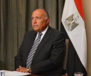 تأكيد مصري قبرصى مشترك على أهمية إيجاد تسوية سياسية شاملة للقضية الفلسطينية