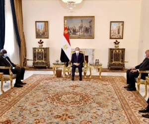 الرئيس السيسي: مصر لم ولن تدخر جهدا تجاه دعم أشقائها الأفارقة