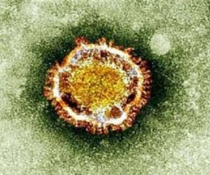 فيروس نيباه.. جائحة جديدة من الصين قد تندلع في أي لحظة لتصبح الوباء العالمي بعد كورونا "التفاصيل الكاملة"