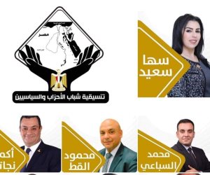 شباب «تنسيقية الأحزاب» يحصدون مقاعد اللجان النوعية بمجلس الشيوخ