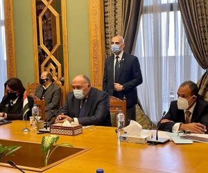 وزير الخارجية ونظيره الغينى يبحثان الجهود الإقليمية لمجابهة التنظيمات الإرهابية