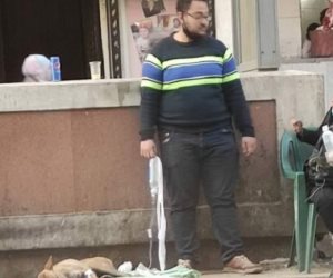 طالب الألسن صاحب أشهر صورة : حاولت مع زميلتي علاج الكلب في الشارع بسبب إصابته بالتسمم.. وعملية الإنقاذ استغرقت 9 ساعات