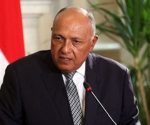 وزير الخارجية: مصر تشهد حاليا مرحلة التنفيذ الفعلى لالتزامات تغير المُناخ