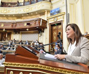 وزيرة التخطيط ترَصد استثمارات حكومية لوزارة الصحة.. تتجاوَز 47.5 مليار جنيه