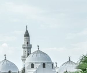 منها 13 جديدا أو إحلالا وتجديدا و3 صيانة.. الأوقاف تفتتح 16 مسجدا الجمعة القادمة  