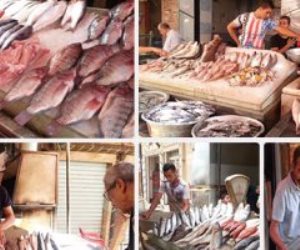  أسعار الأسماك اليوم بسوق العبور.. البلطي المزارع 18 - 23 جنيهاً للكيلو 