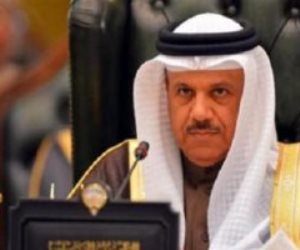 وزير الخارجية البحرينى: ندعم المبادرة المصرية لوقف إطلاق النار فى غزة