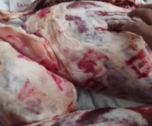 بسعر 300 جنيه للكيلو.. طرح اللحوم البلدية في منافذ وزارة الزراعة