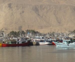 بعد تدشين بناء أسطول الصيد البحري.. الخميس إطلاق مبادرة رئيس الجمهورية لـ«بر أمان» الصيادين من الفيوم