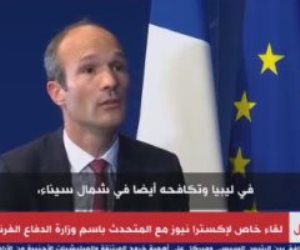 متحدث وزارة الدفاع الفرنسية: مصر دولة محورية ومفتاح استقرار المنطقة