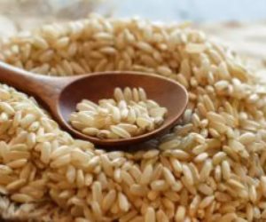 كل ما تريد معرفته عن فوائد الأرز البنى