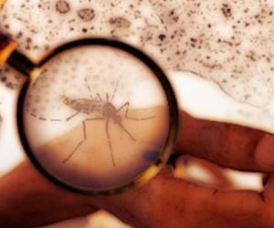  تعرف على الطرق الوقائية للحماية من نواقل الأمراض