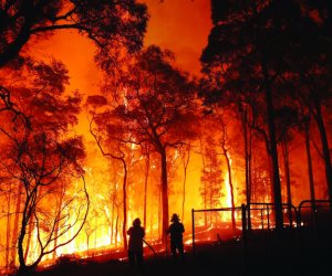 حرائق الغابات عرض مستمر.. التغير المناخي يهدد العديد من دول العالم