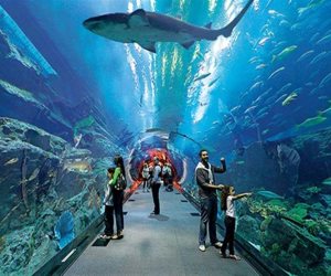 بعد اختياره ضمن أفضل أماكن الجذب السياحي .. تعرف على متحف الأحياء المائية بالغردقة