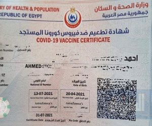 كله بالإنترنت.. حيلة يلجأ إليها المسافرين للتغلب على طلب وزارة الصحة بتحديد موعد السفر قبل اللقاح 