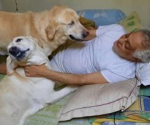 بعد انتشارها علي مواقع التواصل الاجتماعي .. توفيق عبد الحميد يكشف حقيقة صوره مع الكلاب.. فيديو