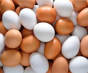 شعبة الدواجن: ارتفاع أسعار البيض بسبب التقلبات الجوية والعرض والطلب