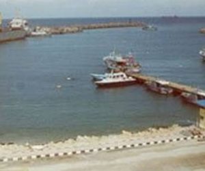 بشرة خير.. الدولة تدعم صيادين سيناء وتقرر فتح منطقة غرب ميناء العريش البحري أمام حركة الصيد أول ديسمبر القادم