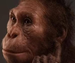 هل عاش الإنسان قبل مليوني عام؟.. اكتشاف جديد يثير جدلا